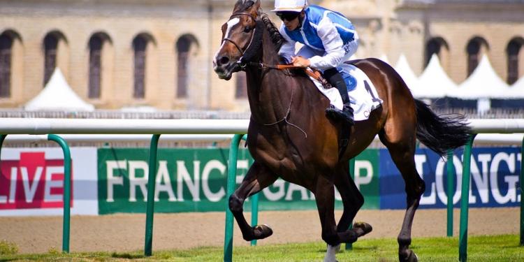 2020 Prix du Jockey Club Betting Predictions – Who Will Win the Next French Derby