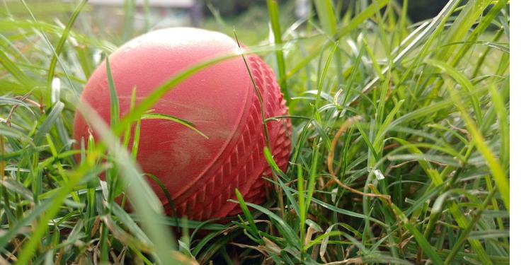 Ball Tampering in Cricket
