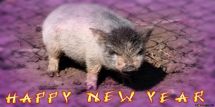 Animals Bringing You Good Luck