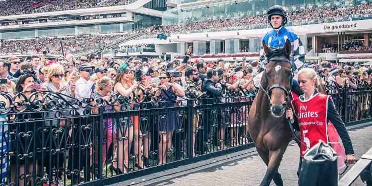 2020 Melbourne Cup Odds – The Early Favorites of This Year