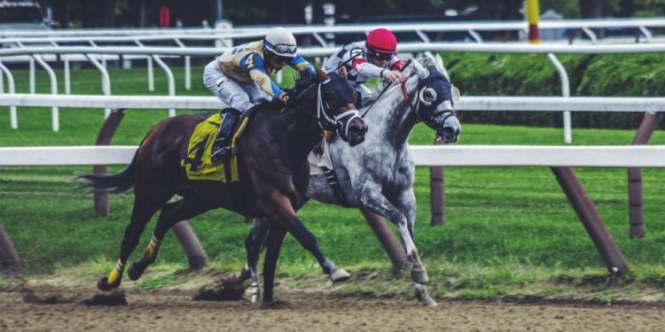 Horse Racing in Japan – Will the Revenue Increase ever Stop?