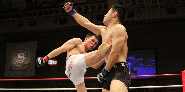 The Early days of MMA