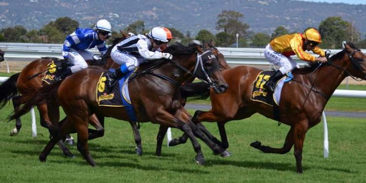 The 2020 All-Weather Mile Predictions Picture the Victory of Set Piece