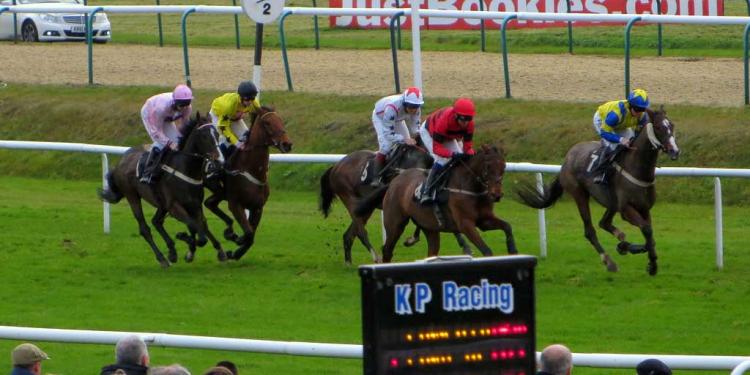 2020 Betway All-Weather Marathon Predictions