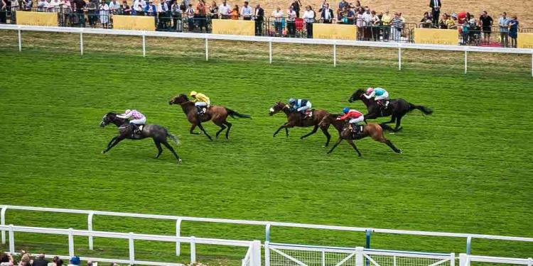 2020 Commonwealth Cup Predictions Based on the Betting Odds