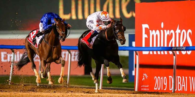 2020 Dubai World Cup Betting Predictions