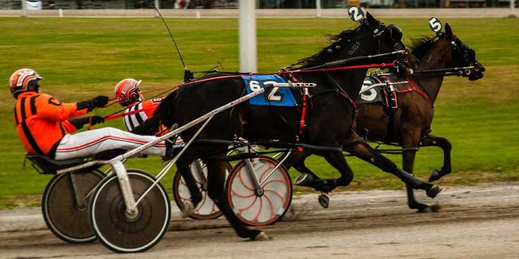 New Zealand Derby Odds, Predictions and Betting Tips