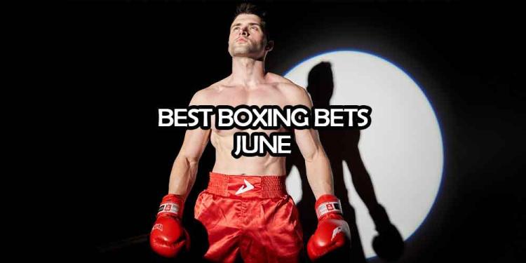 Stevenson, Magdaleno, Pedraza Headline 2020 June Best Boxing Bets
