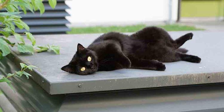 It’s Time to Get Lucky: Gambling Superstitions