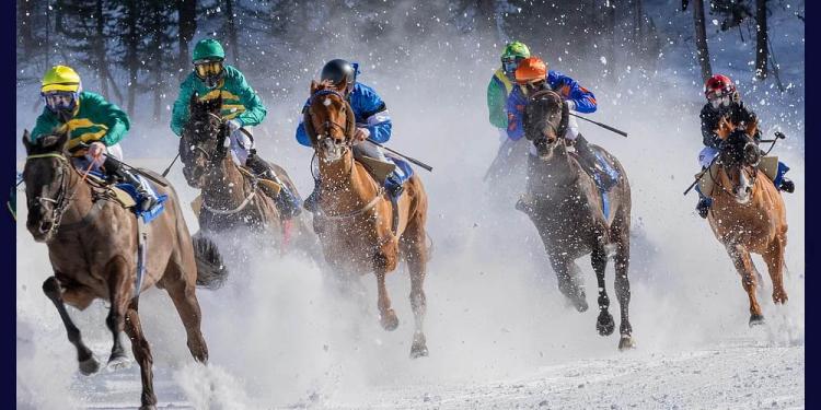 Top-5 Weirdest Horse Racing Facts
