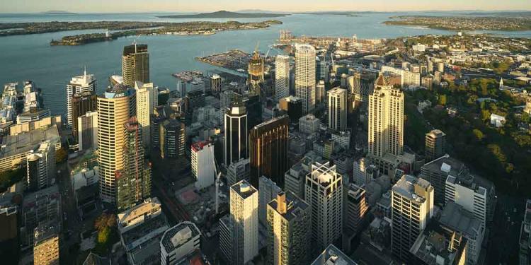 The Odds On The NZ National Party Can Only Improve