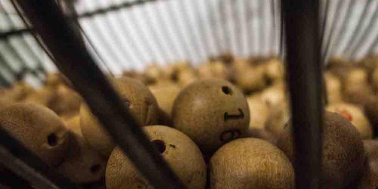 Where to Play Free Bingo Online – Best Sites 2020