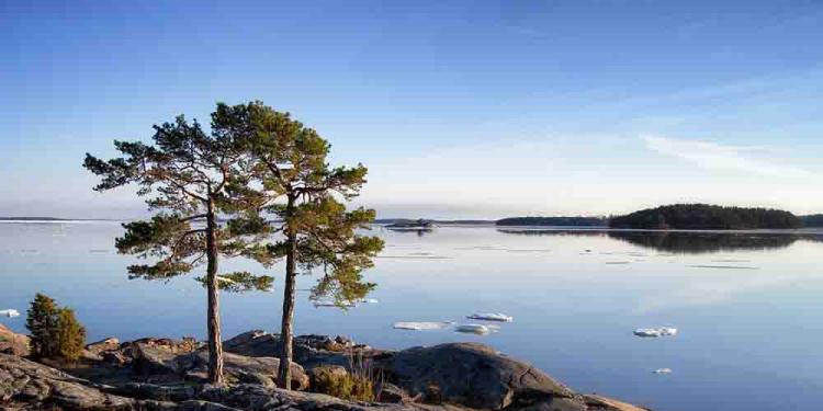 2020 Finlandia Prize Odds: Best Fiction Top Nominees