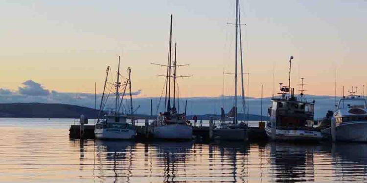 Sydney to Hobart Odds 2020: First Yacht to Cross the Finish Line