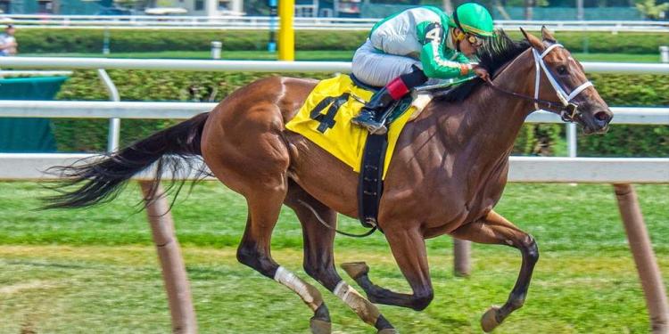 Seven Of Very The Best Horse Races To Bet On In 2021