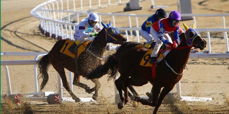 British MPs & Industry At Odds On UK Horse Racing Future