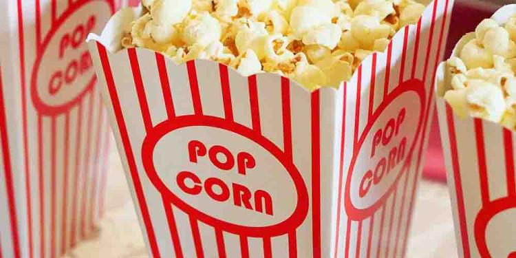 Bet on the Worst Film Ever at the 41st Golden Rasberry Awards