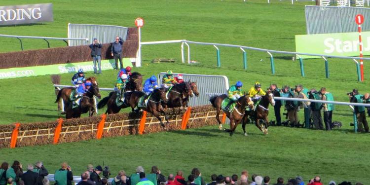 2021 Champion Hurdle Odds Pit Honeysuckle Against Epatante