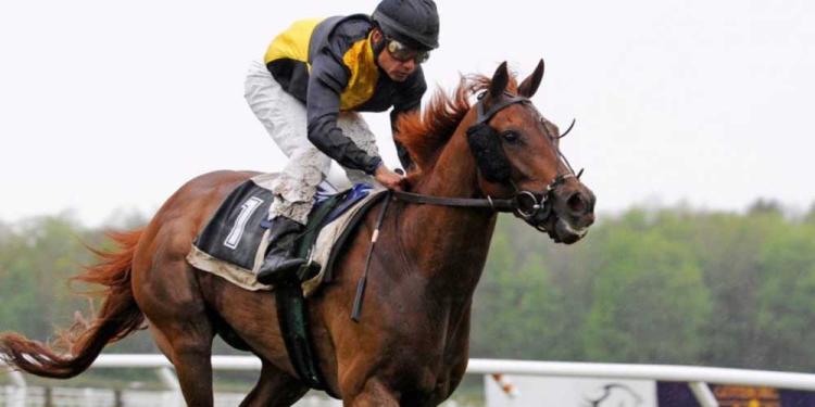 2021 Cheltenham Gold Cup Betting Odds Signpost Great Race