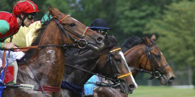 A Bet On The Grand Annual Is To Touch Upon English Tradition