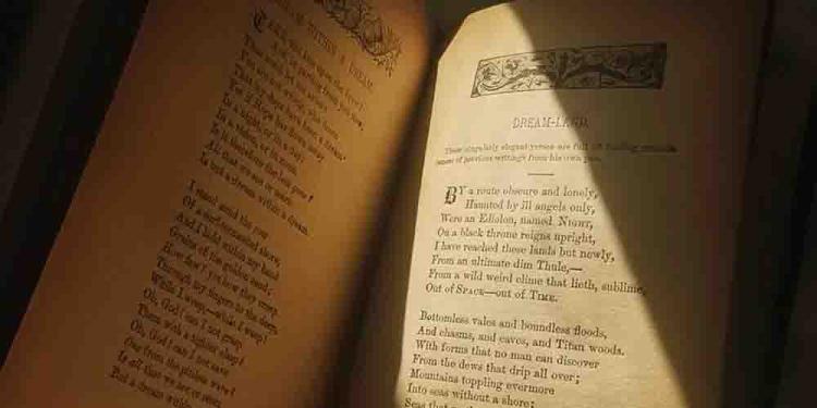 Best Sports Betting Books for Bookworm Sport Bettors