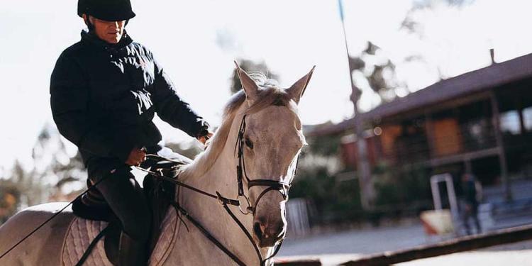 The Evolution of Horse Race Betting: Overview of the Oldest Sportsbetting