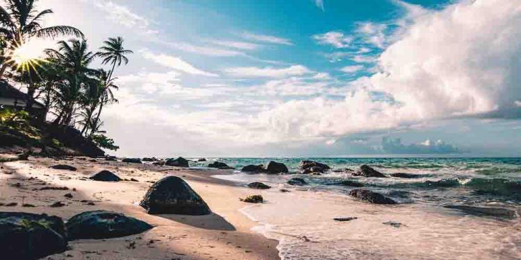 2021 L’Isola dei Famosi Odds and Preview: Top 5 Castaways