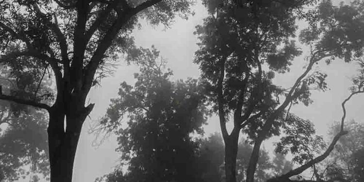 Scary Gambling Stories: Robberies and Mysteries