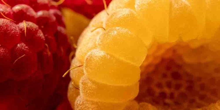 Razzies 2021 Worst Actor Odds and Predictions