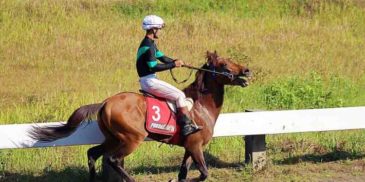 The Proven Horse Racing Systems: Software, Math, More Info and Probabilities