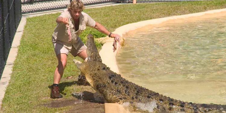 Steve Irwin Biopic Special Bets on Top Three Candidates to Take a Starring Role