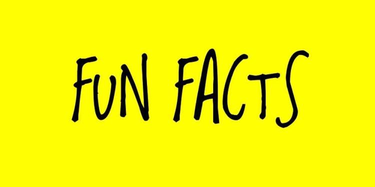 2020 Tokyo Olympic Fun Facts: With Empty Stands