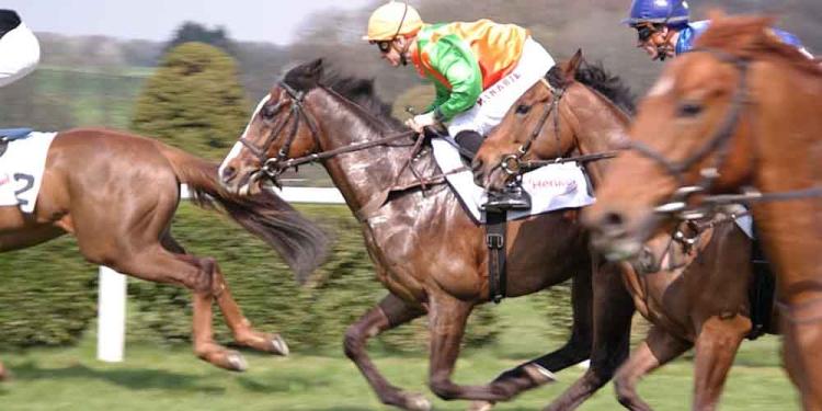 Our Seven Great Tips For Your Bet On Glorious Goodwood