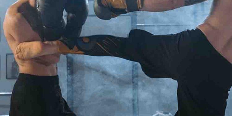 Celebrity Fights with Emelianenko vs Ustimenko Betting Preview: Music, Film and Sport