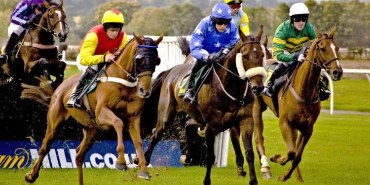 Tony Brassel Tips: Where and How To Find The Best Racing Tips in Australia