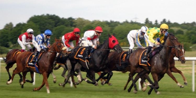 What Are The Best Horse Racing Tips for Beginners?