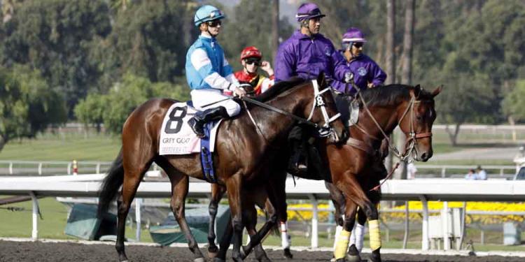 Bet On The Breeders Cup Classic Airing Its Essential Quality