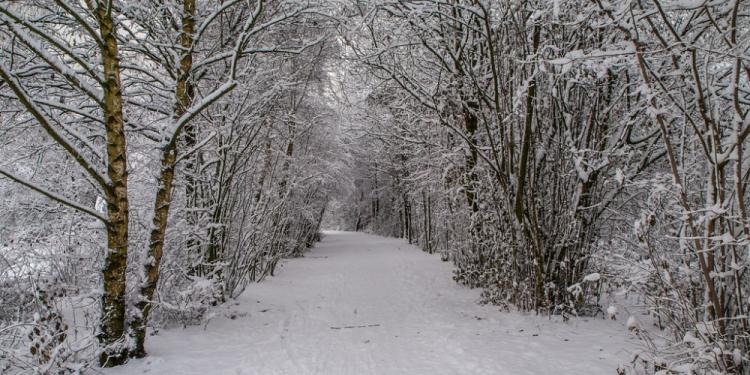 Christmas Weather Odds 2021: We Want Snow!