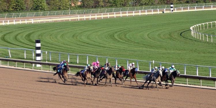 The Best Horse Racing Movies Ever – The Sport of Kings