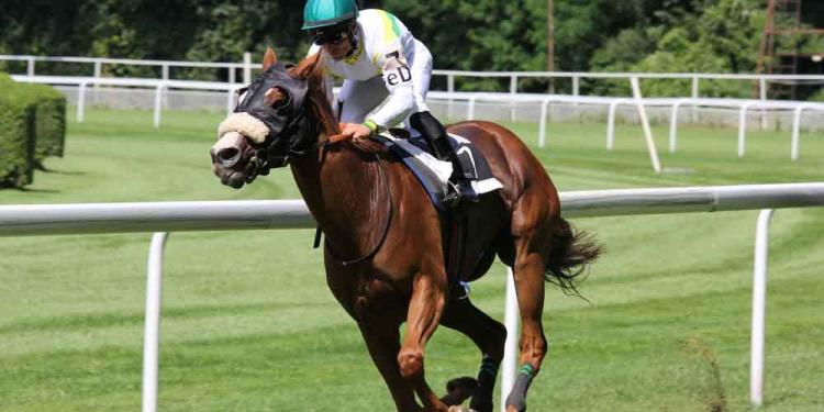 Grab A Tight But Tempting Bet On The Clarence House Chase