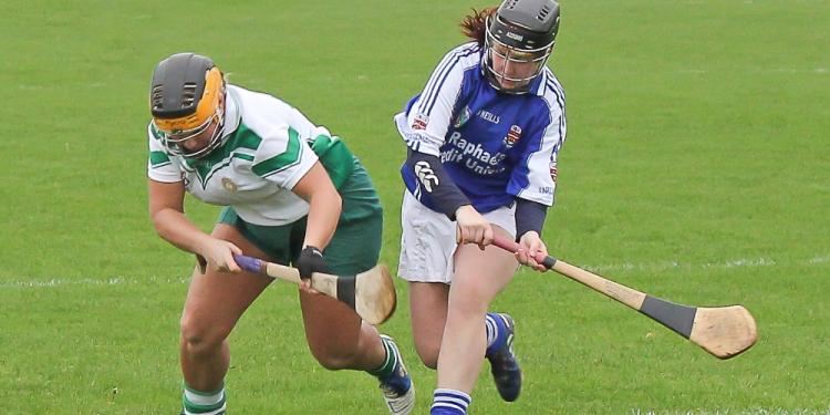 Camogie Betting Guide – How to win tons of money