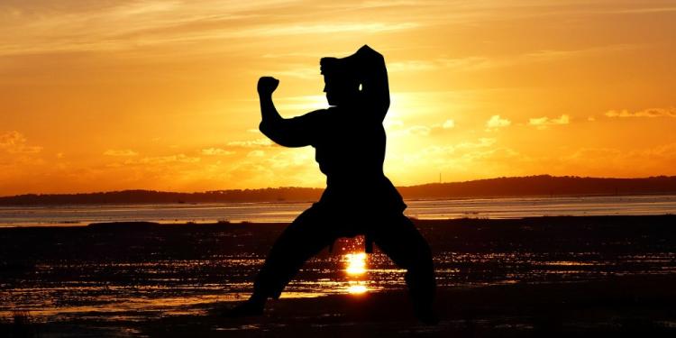 What Everyone Should Know About The Hottest Martial Arts In 2022