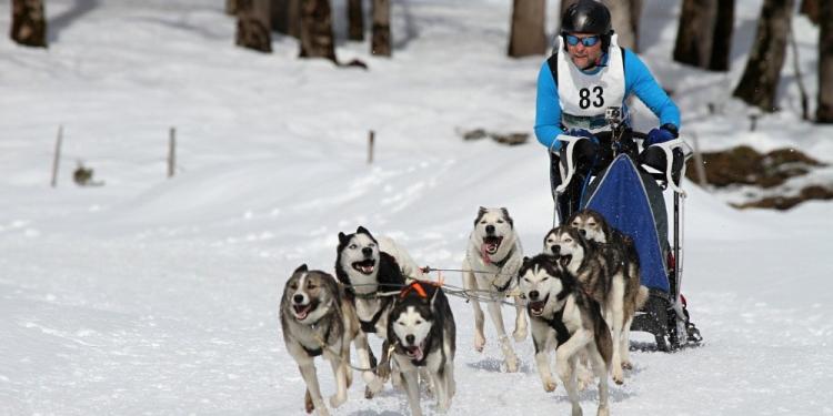 These Are The Toughest Sports In The World – Do You Agree?