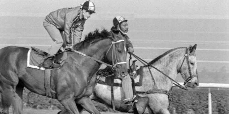 Best Horse Racing Movies For Summer Nights