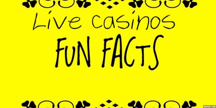 7 Fun Facts About Live Casinos – Live Casinos Are Funny