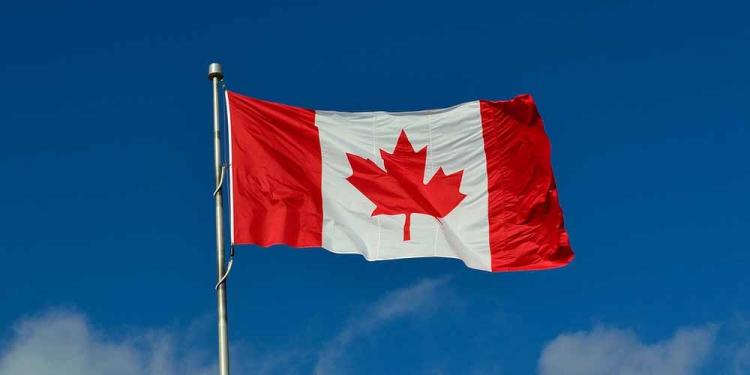 Best Canada Casinos to Play Live Dealer Games