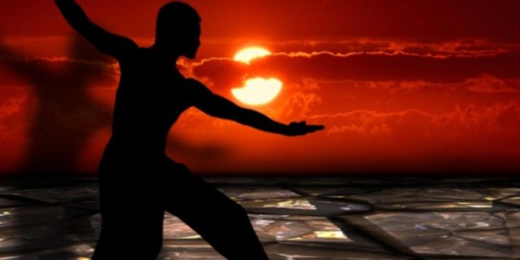 MMA Betting Guide for Newbies