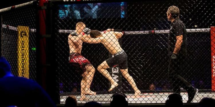 Are You Looking for the Best MMA Betting Strategies?
