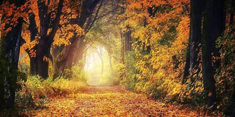 Best Autumn-themed Slots