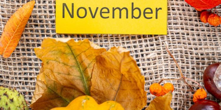 Highest Lottery Jackpots In November – The Most Valuable